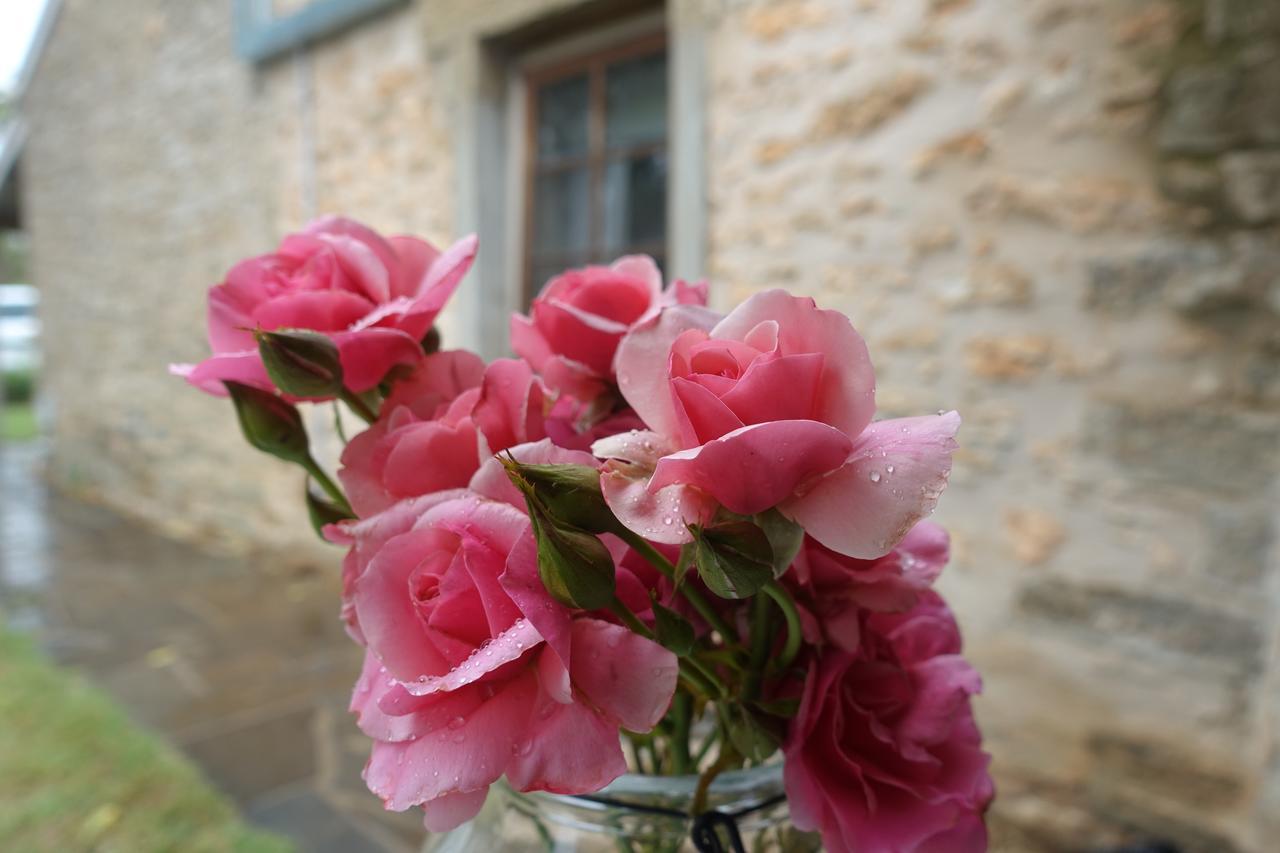 Amy'S House Bed & Breakfast Auburn Kültér fotó